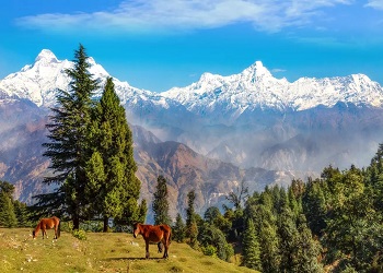 Manali Mountains, Kullu, Himachal Pradesh